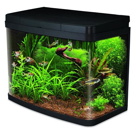 Buy Aquarium Fish Online: Aquarium Tanks & Plants.